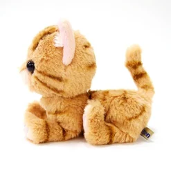 Kitten Plush: American Shorthair -Model Figures Shop 18326002bd00464d85bb5ca2693bdfaa.jpg