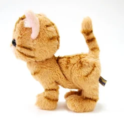 Kitten Plush: American Shorthair -Model Figures Shop 9b7a647747e7421eb57abfc8fc33f415.jpg
