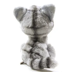 Kitten Plush: American Shorthair -Model Figures Shop 9d9613852bb74ca293da1cbe8970ec47.jpg